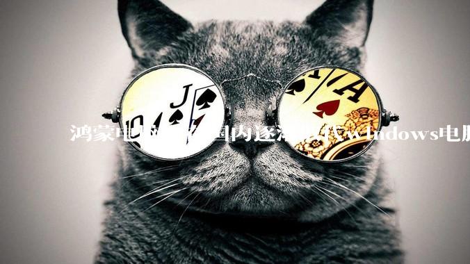 鸿蒙电脑会在国内逐渐取代windows电脑吗？