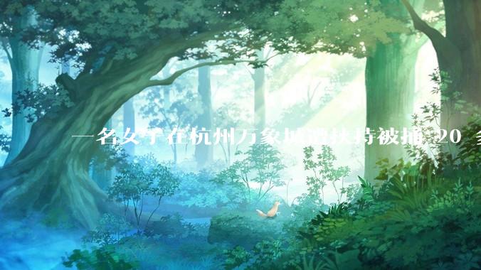 一名女子在杭州万象城遭挟持被捅 20 多刀，隆胸***体救了一命，这反映出哪些公安系统的问题？