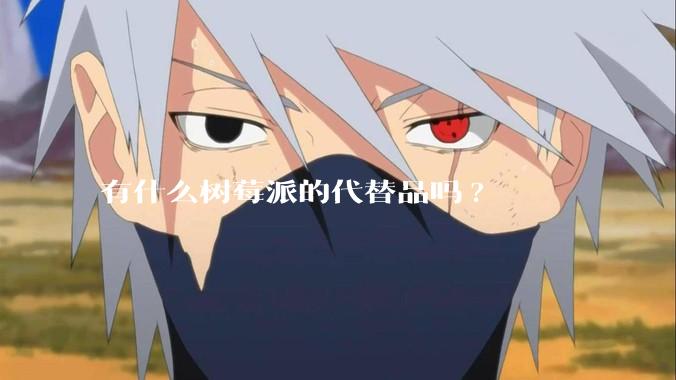 有什么树莓派的代替品吗?